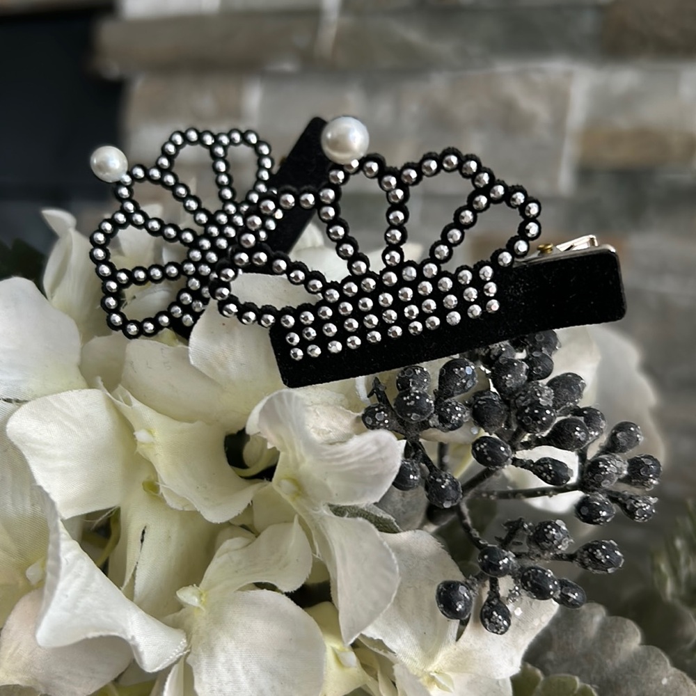 Set of hair clips
